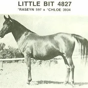 Little Bit