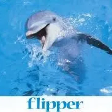 The real Flipper - definitely one of my boyhood friends