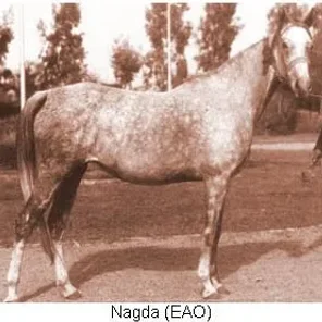 Nagda