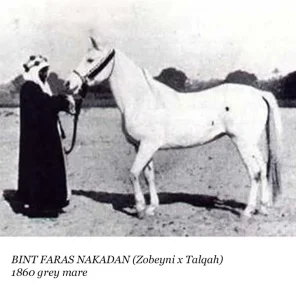 Bint Faras Naqadan