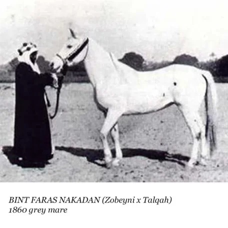 Bint Faras Naqadan