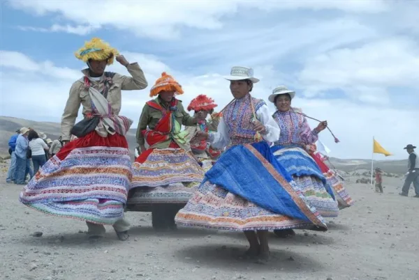 Asociación Internacional de la Alpaca