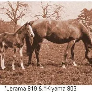 Kiyama