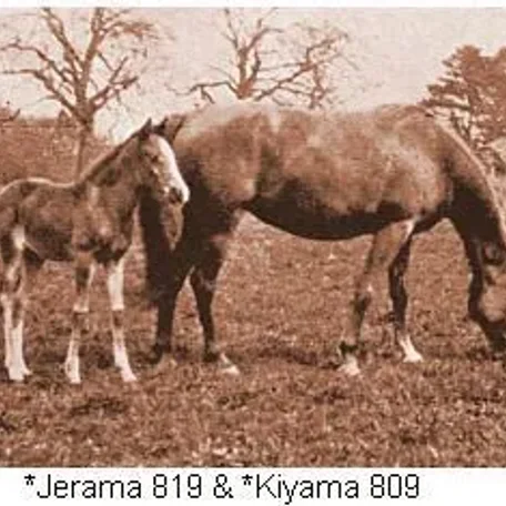 Kiyama