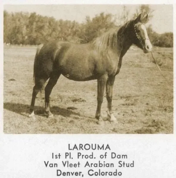 LAROUMA