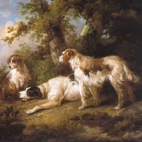 Pets of the English, French and Aristocrats of Europe