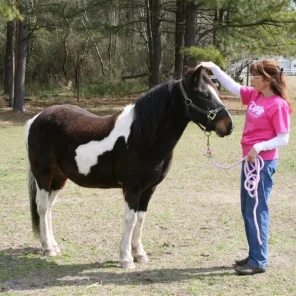Ponyboy