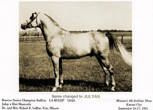 Julyan