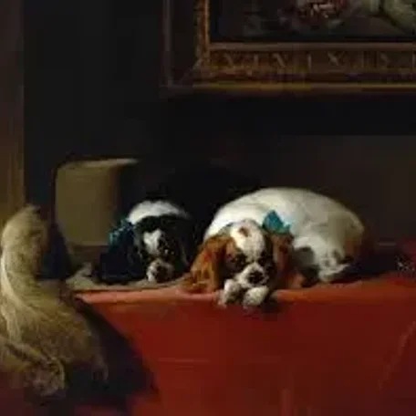 Pet of the Tudors