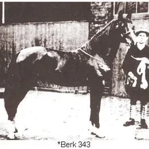 Berk