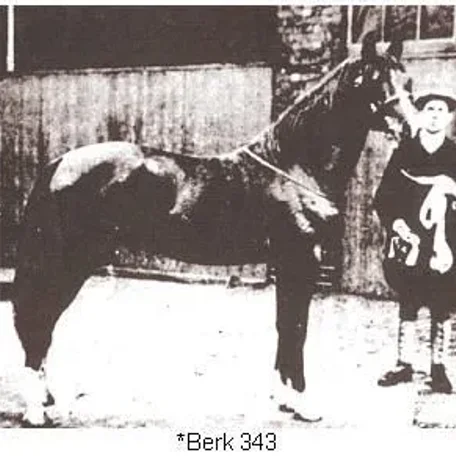 *Berk