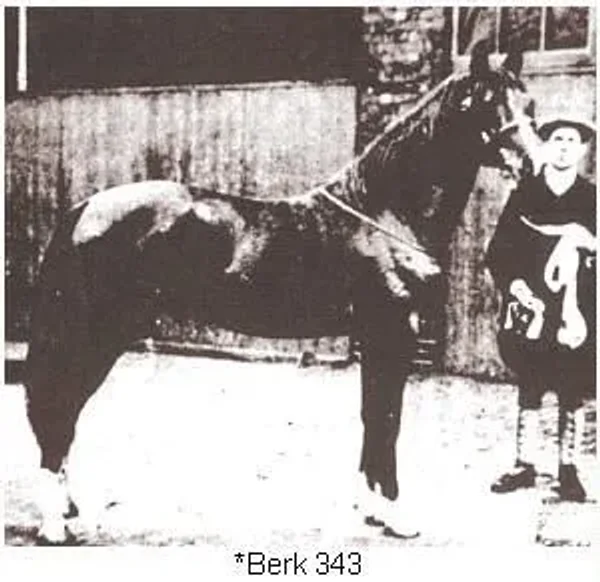 Berk
