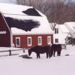 Winter Barns and Covered Bridges