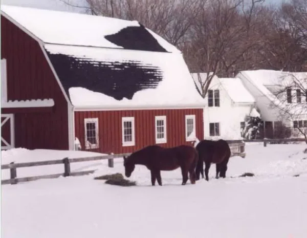 Covered Bridges and Winter Barns