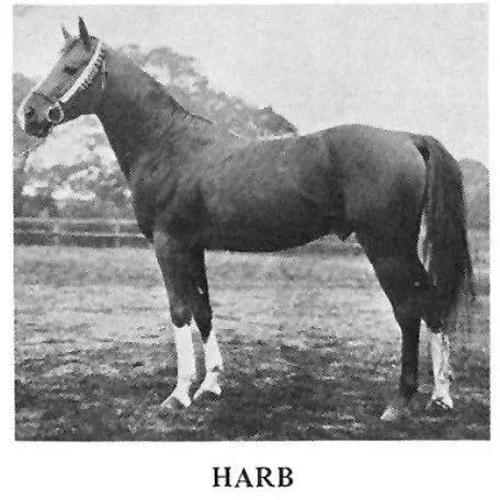 HARB