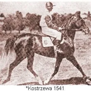 Kostrzewa