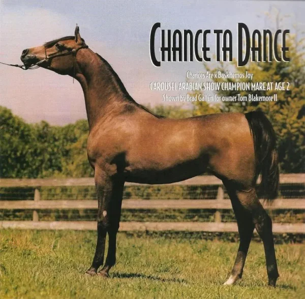 Achance Ta Dance