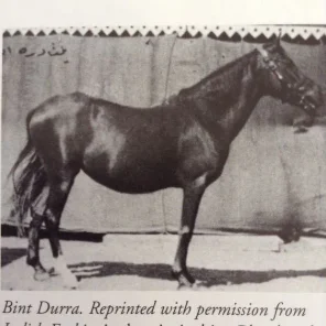 Bint Durra