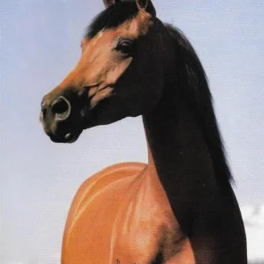 Astraga