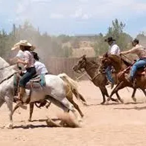Cowboy Polo