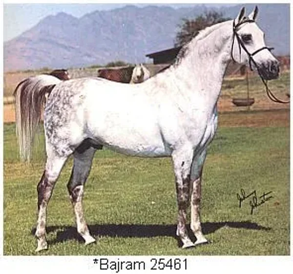 Bajram