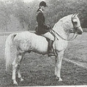 Roxan