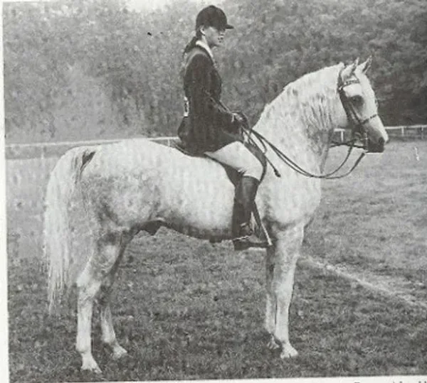 Roxan