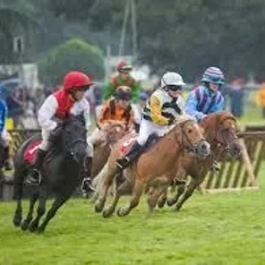 Driving Horses List