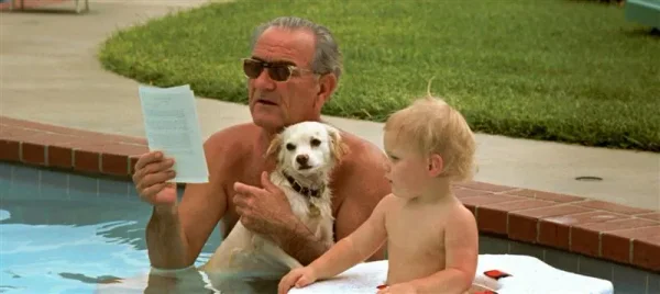 Our U.S. Presidents and some their Pets