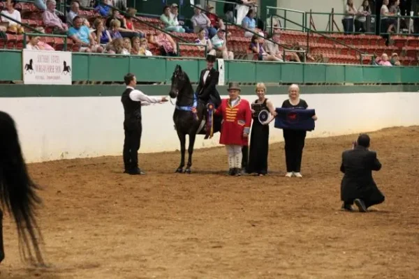 Morgan Southern States Regional Show