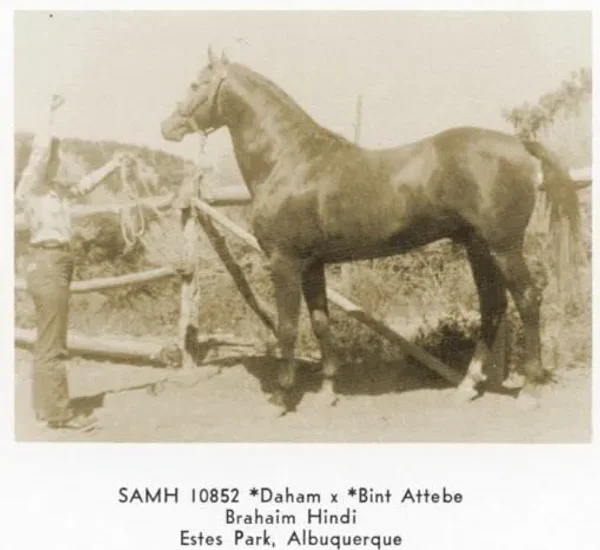 SAMH