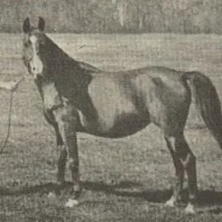 BAZRAH