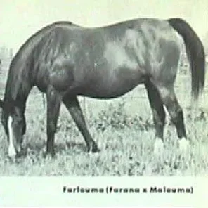 Farlouma