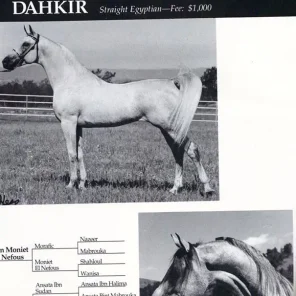 DAHKIR