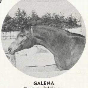 GALENA