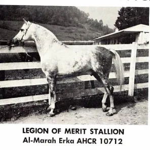 Al Marah Erka++