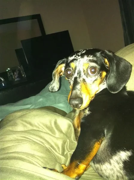 Roxy