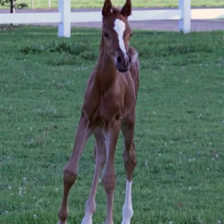 2 days old