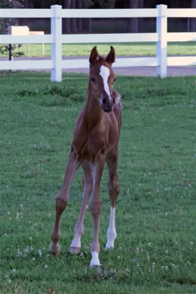 2 days old