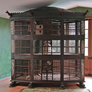 The Best Pet Bird Cages