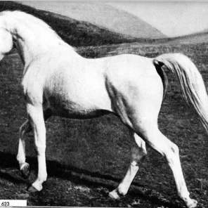 GHARIS