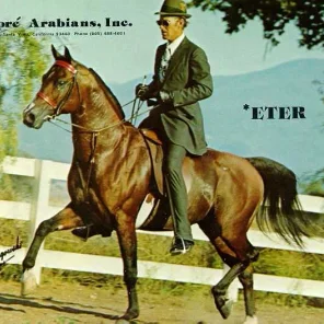 Eter