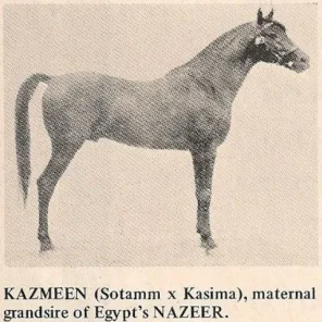 KAZMEEN