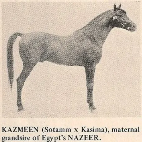 KAZMEEN