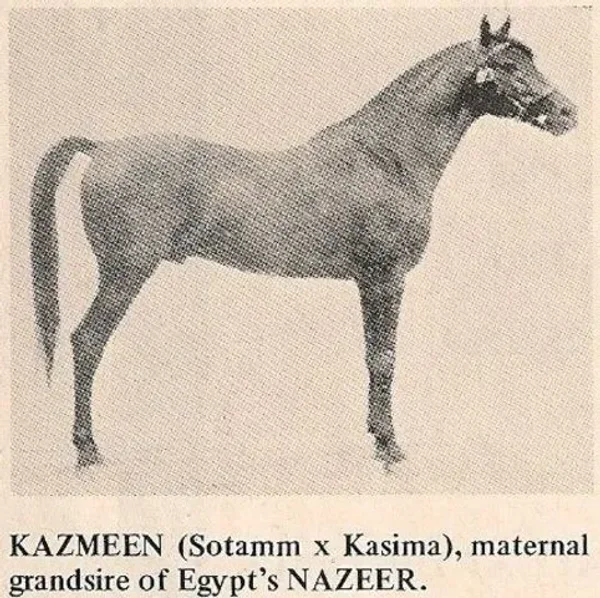 KAZMEEN