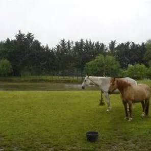 Equestrian Farmhouse For Sale in Tarn, France