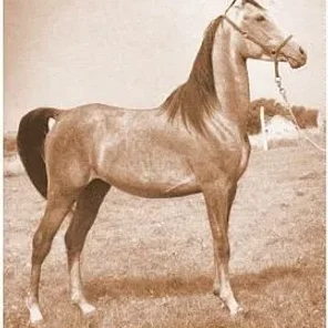 El Ahmar