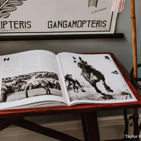 Interior Design of the Horsey Kind!