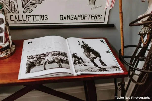 Interior Design of the Horsey Kind!