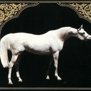 ROSE OF CAMEO